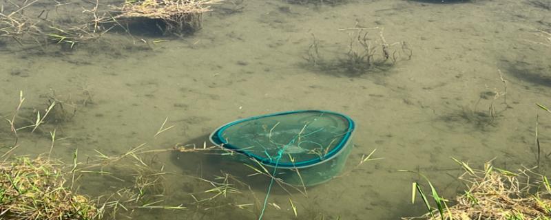 地笼捕鱼网放什么饵料，放腥味饵料效果好