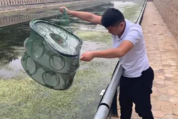 地笼捕鱼网放什么饵料，放腥味饵料效果好