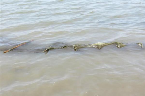 地笼捕鱼网放什么饵料，放腥味饵料效果好