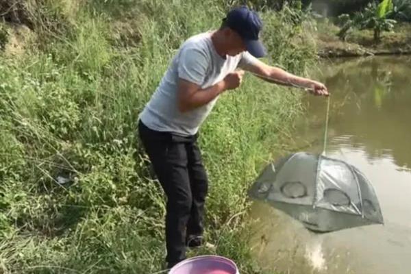 地笼捕鱼网放什么饵料，放腥味饵料效果好