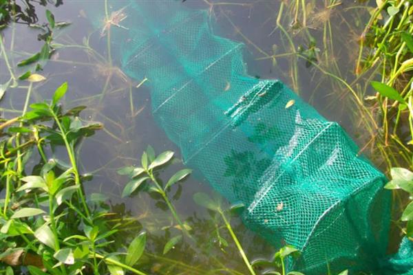 地笼捕鱼网放什么饵料，放腥味饵料效果好