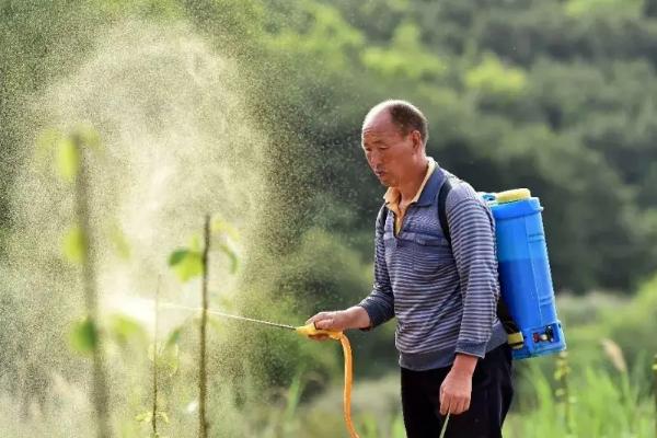 吡唑醚菌酯乳油、粉剂、悬浮剂哪个更好，各有各的不同