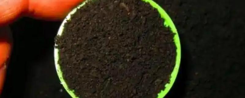 使用微生物肥料的误区，以下5点要特别注意