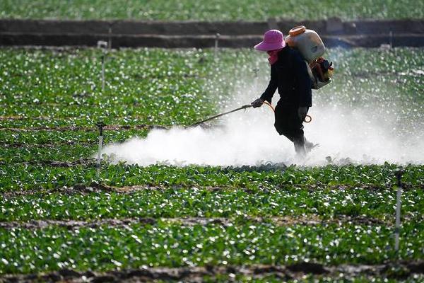 吡唑醚菌酯乳油、粉剂、悬浮剂哪个更好，各有各的不同
