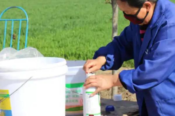 吡唑醚菌酯乳油、粉剂、悬浮剂哪个更好，各有各的不同