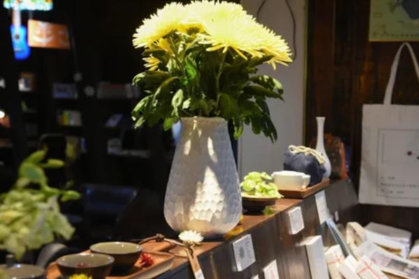 菊花什么时候开，夏菊在5-9月开花