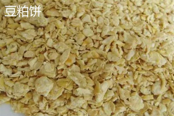 麸皮和豆粕饼的真伪怎么区分，手抓成团则是纯正麸皮