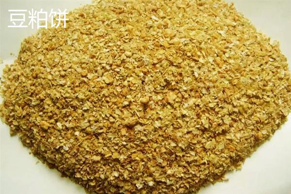 麸皮和豆粕饼的真伪怎么区分，手抓成团则是纯正麸皮