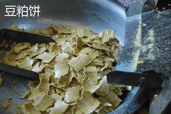 麸皮和豆粕饼的真伪怎么区分，手抓成团则是纯正麸皮