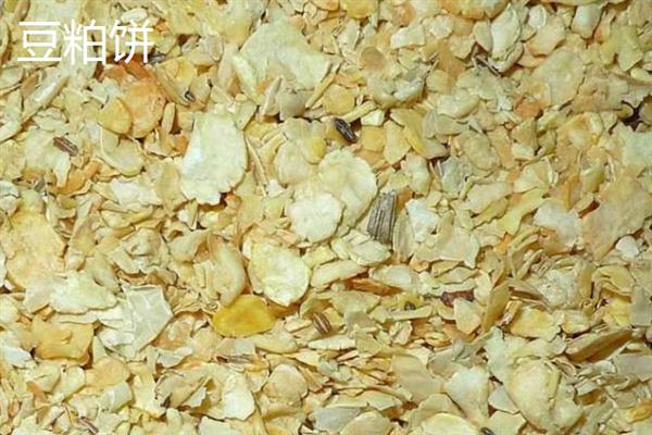 麸皮和豆粕饼的真伪怎么区分，手抓成团则是纯正麸皮