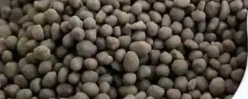 磷酸氢二铵是哪种肥料，是一种富含矿物质磷的植物性化肥