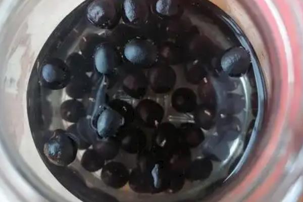 牡丹花种子如何育苗，播种前需先浸种