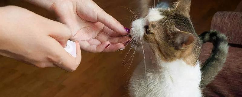 猫舔了碘伏的后果，可能出现食欲不振、精神萎靡、呕吐腹泻等症状