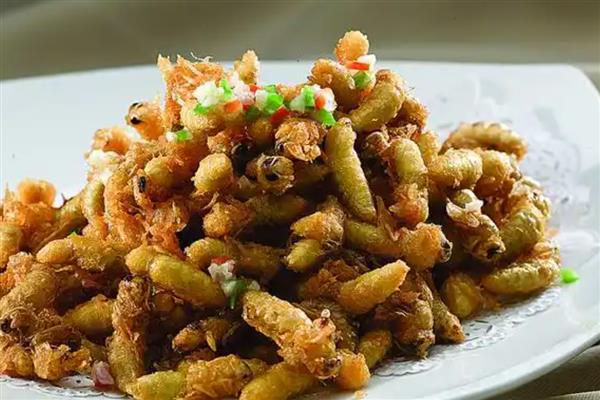 雄蜂蛹在哪里购买，大型养蜂场才会专门培育供食用的雄蜂蛹