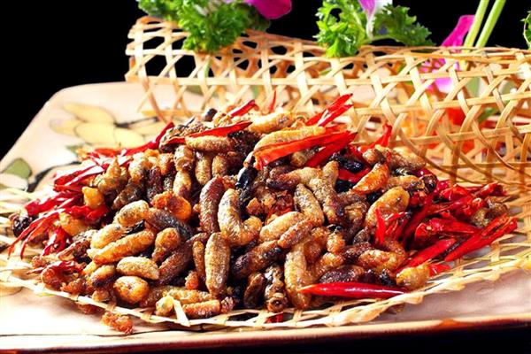 雄蜂蛹在哪里购买，大型养蜂场才会专门培育供食用的雄蜂蛹