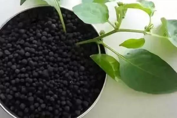 使用微生物肥料的误区，以下5点要特别注意