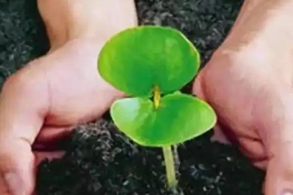 使用微生物肥料的误区，以下5点要特别注意