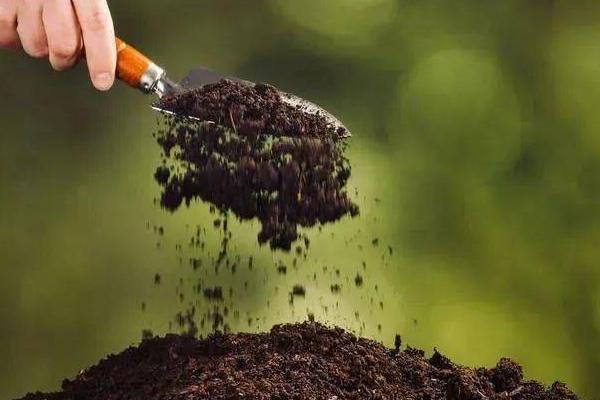 使用微生物肥料的误区，以下5点要特别注意