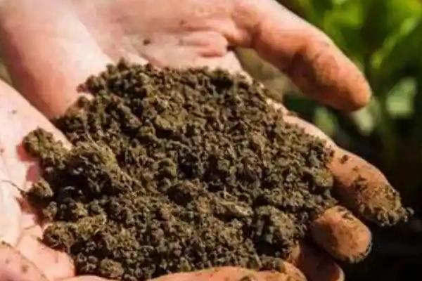 使用微生物肥料的误区，以下5点要特别注意