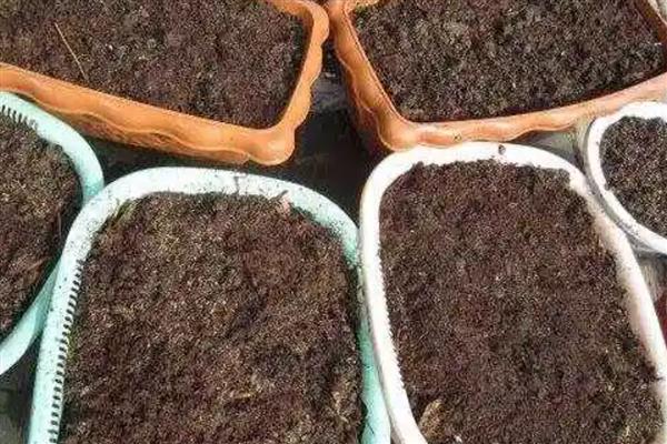 养殖兰花用哪种土壤，通常以透气透水的花土为宜