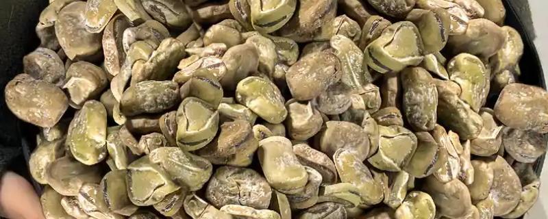 茴香豆是哪种豆，就是蚕豆