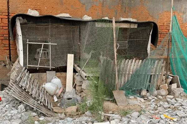 鸡舍的消毒间隔，养殖蛋鸡每周至少消毒一次