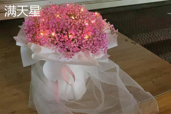 哪些植物适合送老师，可选择君子兰、文竹、康乃馨等品种