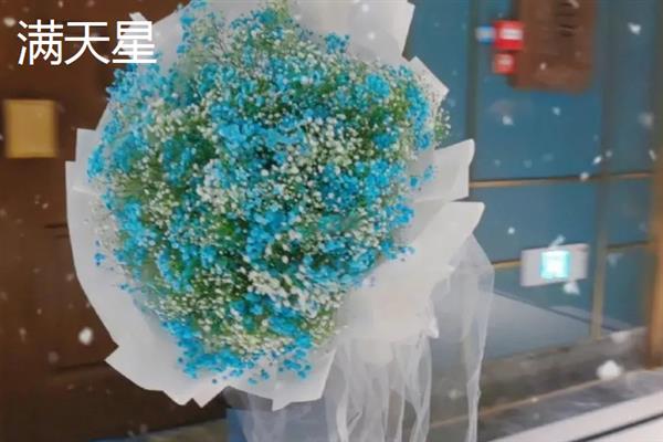 哪些植物适合送老师，可选择君子兰、文竹、康乃馨等品种
