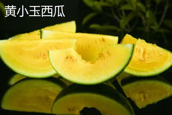 无籽西瓜有什么品种，红大西瓜、黄小玉西瓜等品种很常见