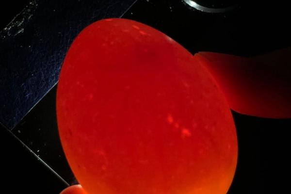 母鹅孵蛋时的注意事项，孵化前对种蛋、巢穴做消毒处理