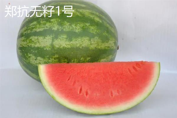 无籽西瓜有什么品种，红大西瓜、黄小玉西瓜等品种很常见