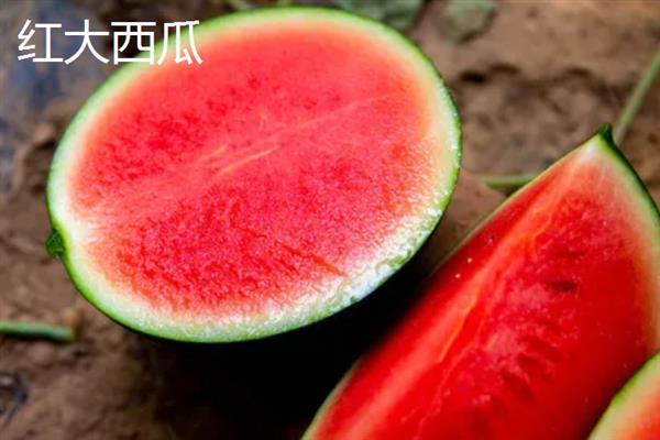 无籽西瓜有什么品种，红大西瓜、黄小玉西瓜等品种很常见