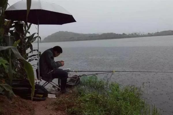 雨天钓鱼是不是要钓远，大部分情况下适合钓近