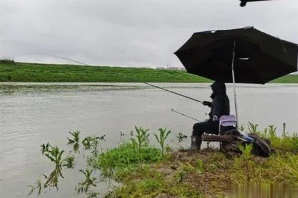 雨天钓鱼是不是要钓远，大部分情况下适合钓近