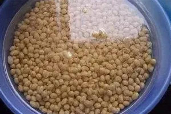 棉花种子怎么实现一播全苗，以下5种方式可提高发芽率