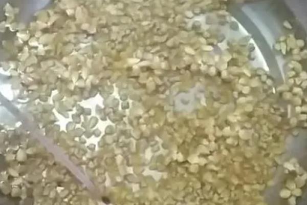 棉花种子怎么实现一播全苗，以下5种方式可提高发芽率