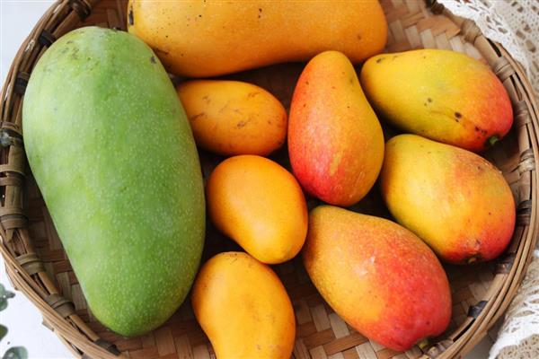 哪些水果在秋季成熟，常见苹果、芒果、火龙果等品种