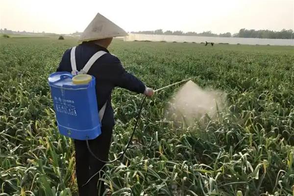 农药的毒性分类，主要分为剧毒农药、高毒农药、中毒农药等5个类型