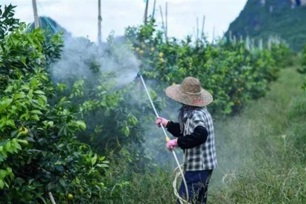 农药的毒性分类，主要分为剧毒农药、高毒农药、中毒农药等5个类型