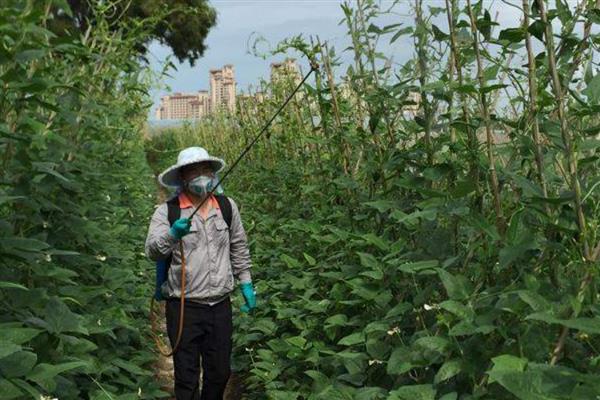 农药的毒性分类，主要分为剧毒农药、高毒农药、中毒农药等5个类型