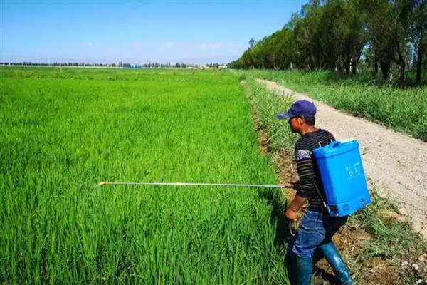 农药的毒性分类，主要分为剧毒农药、高毒农药、中毒农药等5个类型