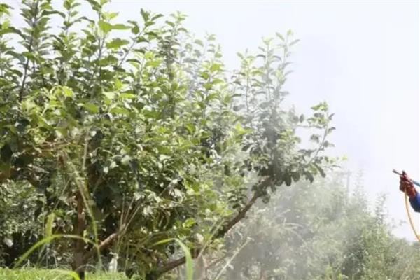 农药的毒性分类，主要分为剧毒农药、高毒农药、中毒农药等5个类型