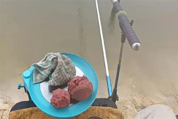 钓鱼人讨厌罗非鱼的原因，小罗非鱼很贪吃且闹窝非常烦人