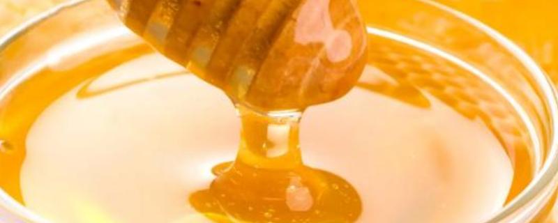 葵花蜜结晶颗粒很大的原因，主要是结晶核少且结晶速度慢所致