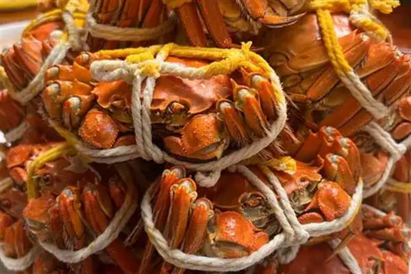公蟹的食物，包括藻类、浮萍、小鱼虾等种类