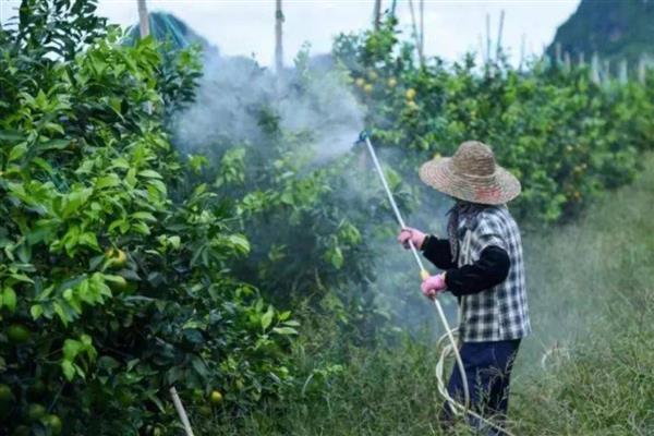 阿维菌素不可以和哪些农药混用，不能与杀菌剂和碱性的农药混用