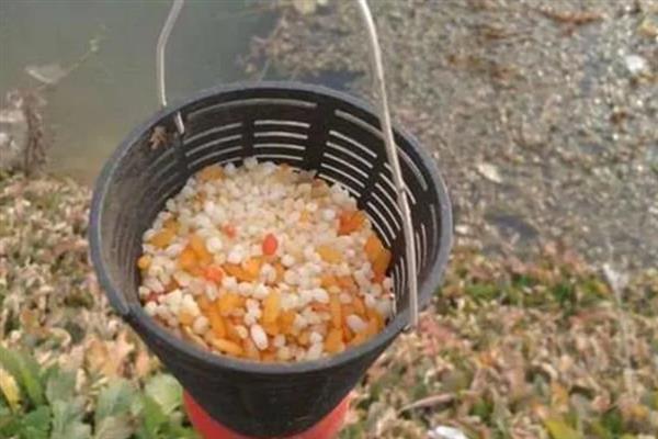钓草鱼用什么饵料，可选择自然饵、商品饵等