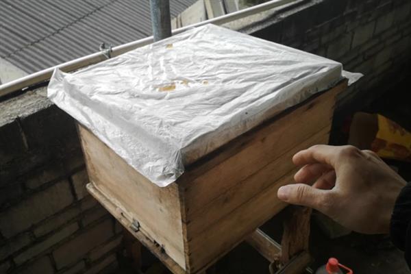 蜜蜂冬季如何管理，越冬期之前要及时调整群势