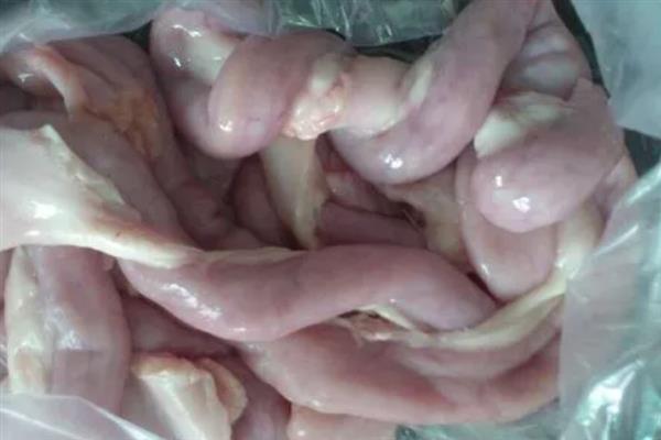 猪苦肠里面有没有屎，是没有屎的