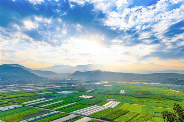 我国河谷农业的主要分布地区，主要集中在新疆和西藏